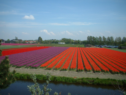 40413 (a): :1280x960
